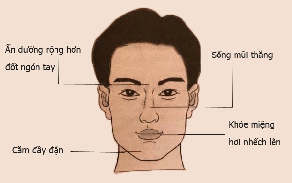 8 khuôn mặt thường gặp nói lên tính cách - nhân tướng học nhân sự