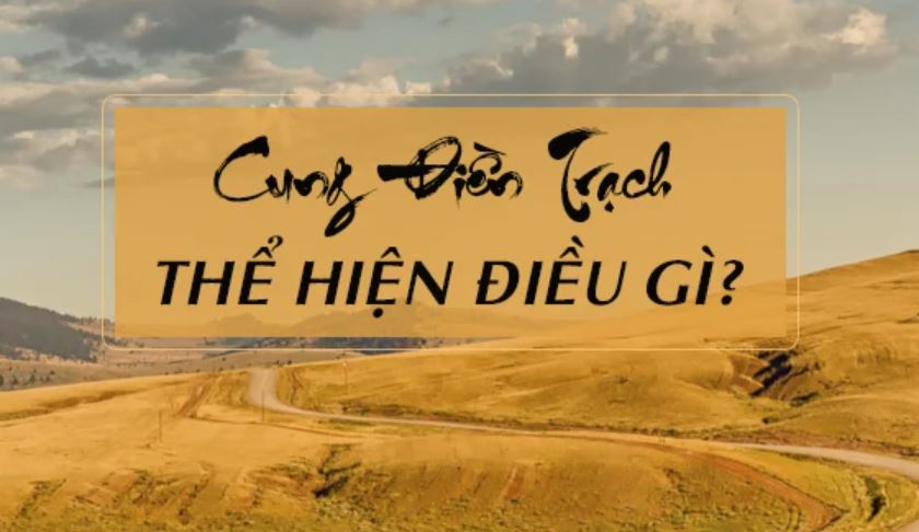 Định hướng nghề nghiệp theo tử vi