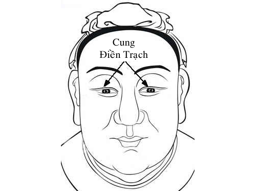 Ý nghĩa của các sao trong cung điền trạch?